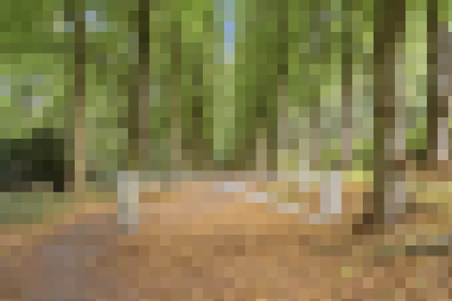 Stollenbergweg 150 Berg en Dal thumbnail 31