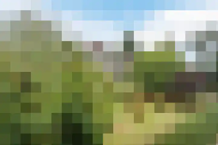 Stollenbergweg 180 Berg en Dal thumbnail 7