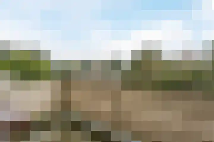 Stollenbergweg 186 Berg en Dal thumbnail 15
