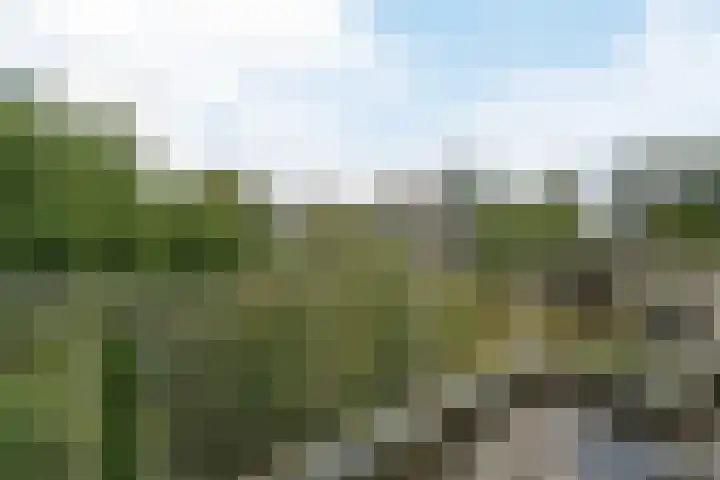 Stollenbergweg 186 Berg en Dal thumbnail 7