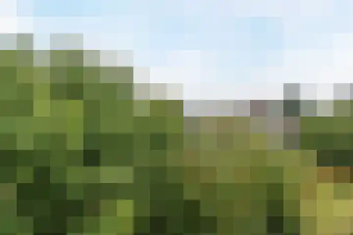 Stollenbergweg 186 Berg en Dal thumbnail 8