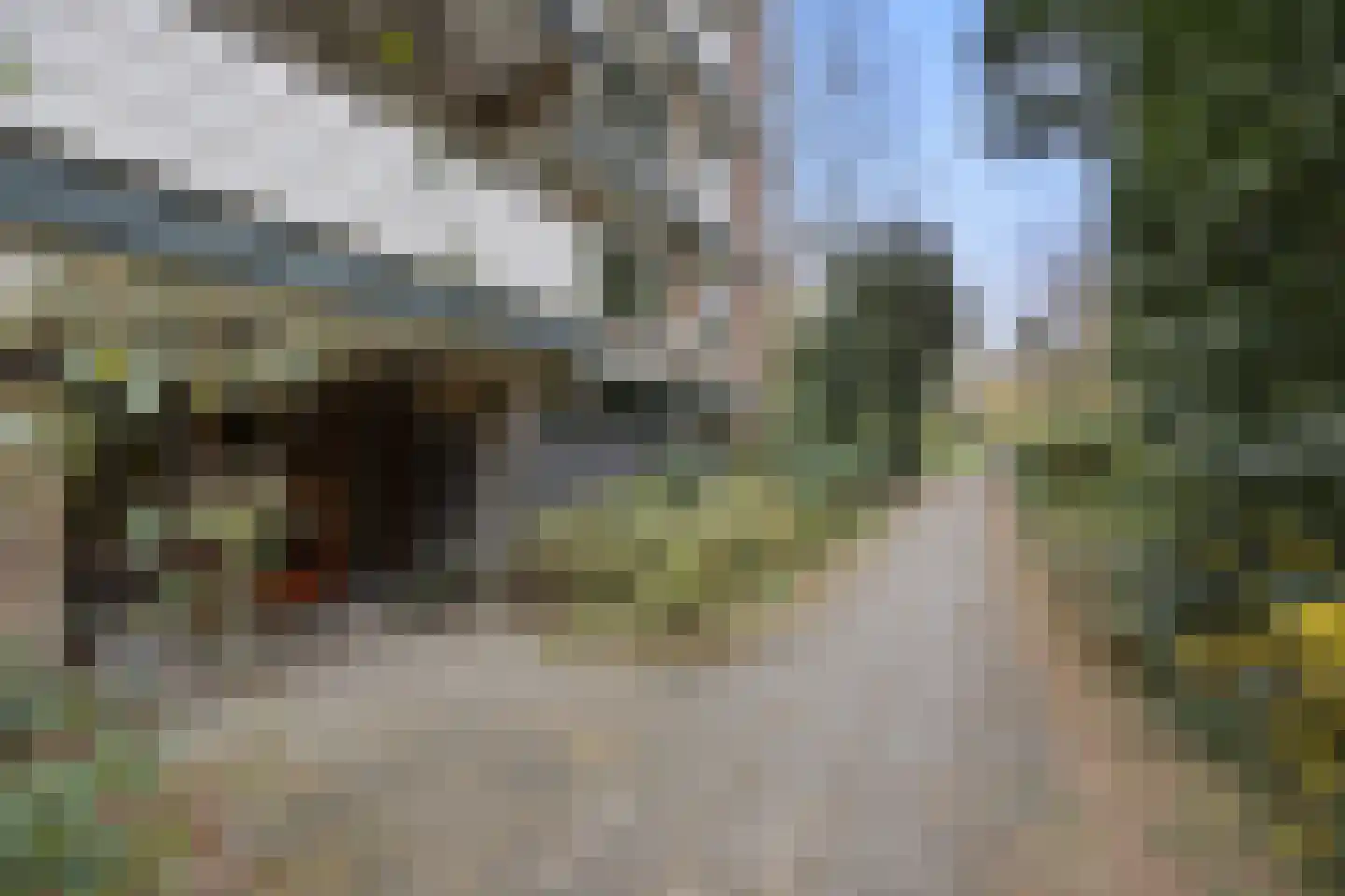 Stollenbergweg 210 Berg en Dal thumbnail 30