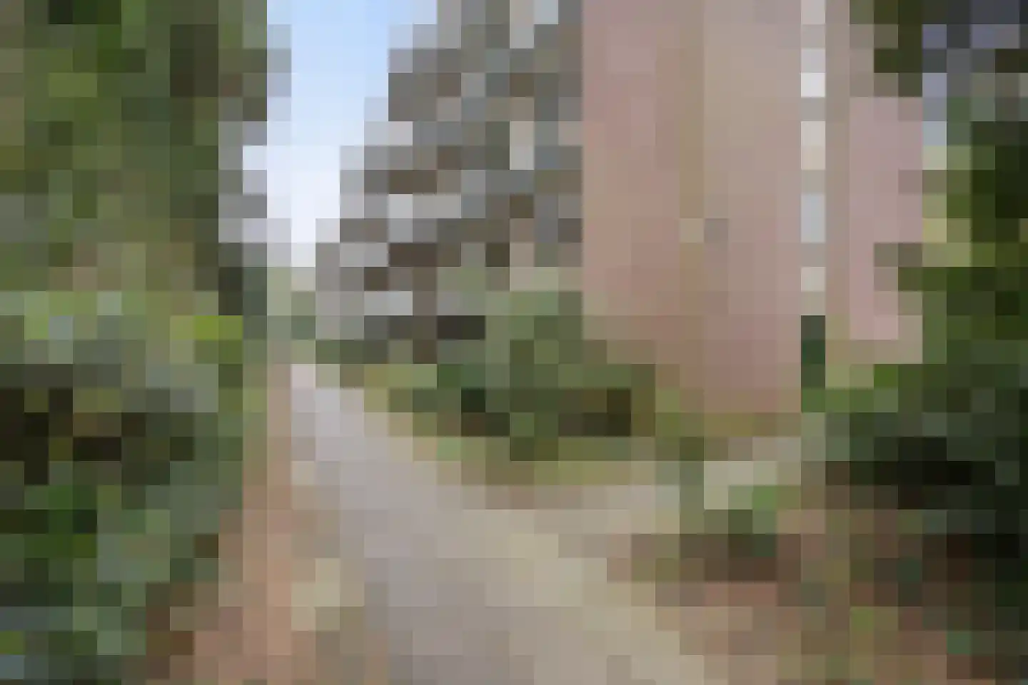 Stollenbergweg 210 Berg en Dal thumbnail 32