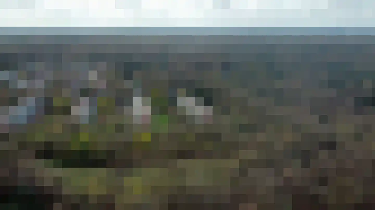 Stollenbergweg 210 Berg en Dal thumbnail 37