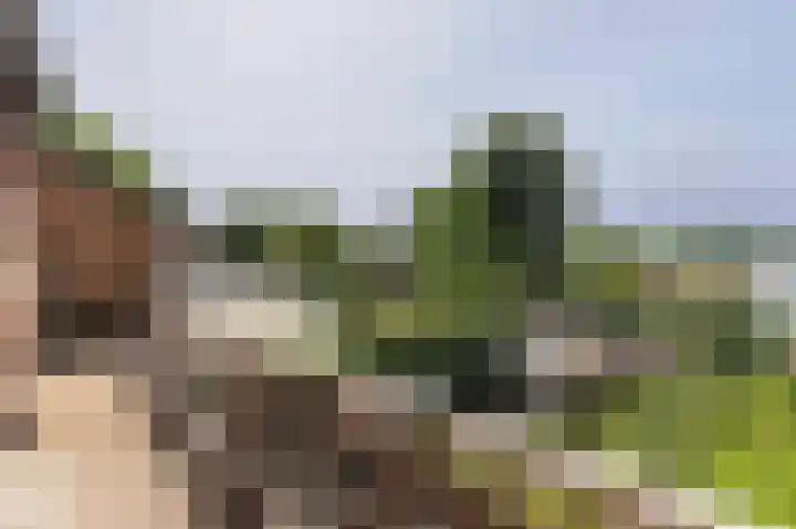 Stollenbergweg 65 Berg en Dal thumbnail 19