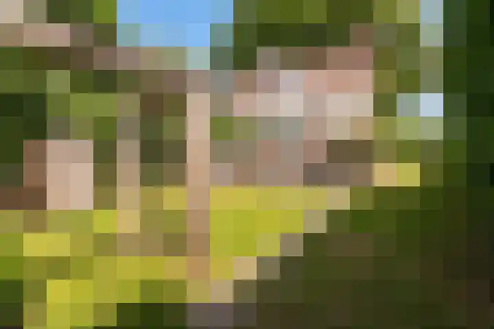 Stollenbergweg 65 Berg en Dal thumbnail 32