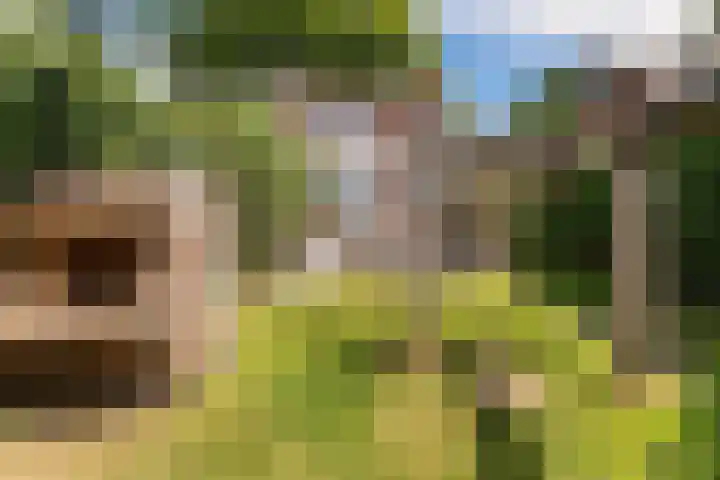Stollenbergweg 65 Berg en Dal thumbnail 33