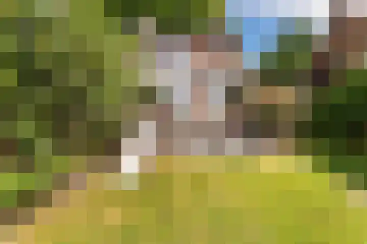 Stollenbergweg 65 Berg en Dal thumbnail 34