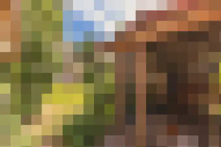 Stollenbergweg 65 Berg en Dal thumbnail 35