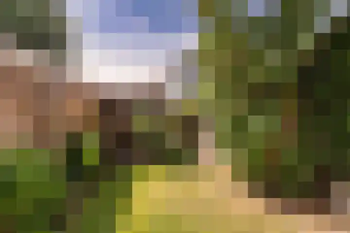 Stollenbergweg 65 Berg en Dal thumbnail 36