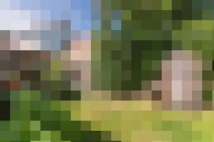 Stollenbergweg 65 Berg en Dal thumbnail 37