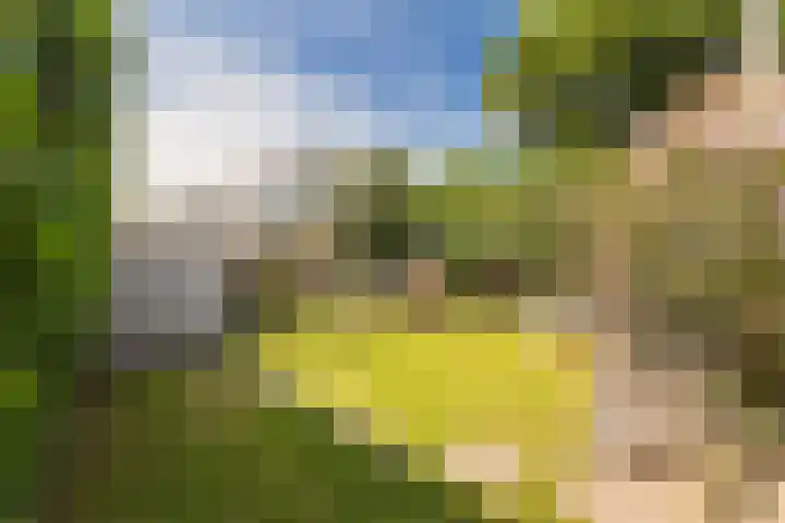 Stollenbergweg 65 Berg en Dal thumbnail 38