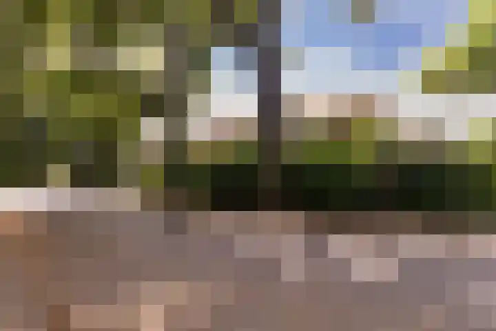Stollenbergweg 65 Berg en Dal thumbnail 40