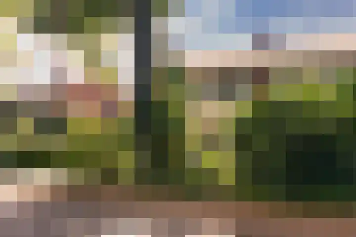Stollenbergweg 65 Berg en Dal thumbnail 41