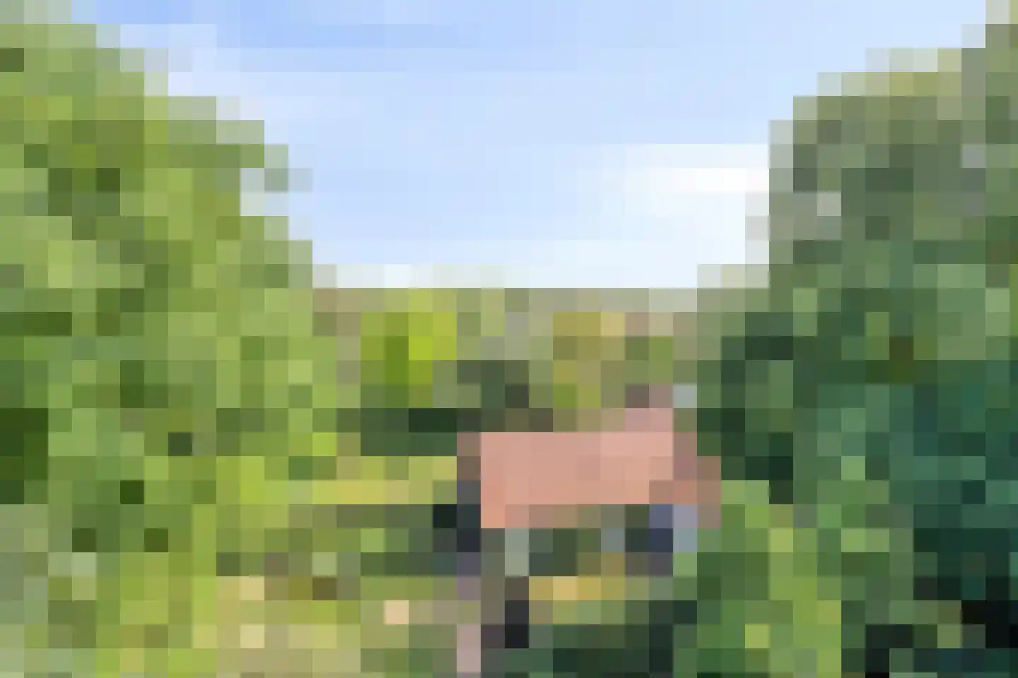Stollenbergweg 90 Berg en Dal thumbnail 8
