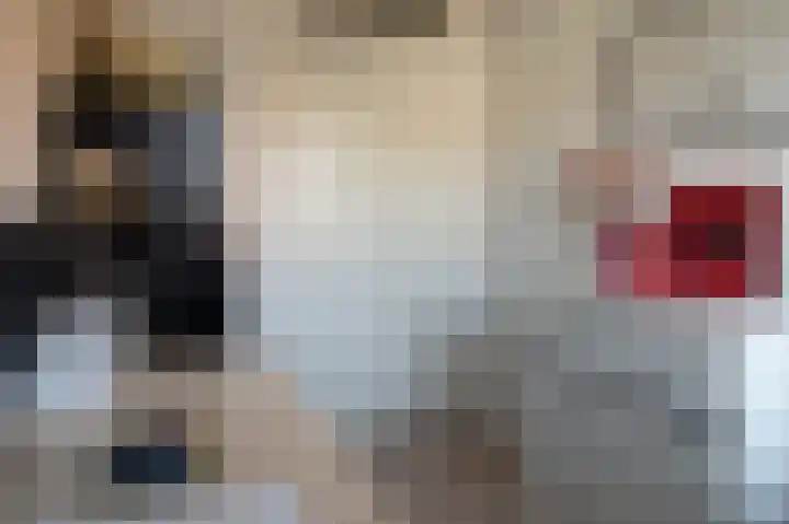 Stolp 17 Voorthuizen thumbnail 26