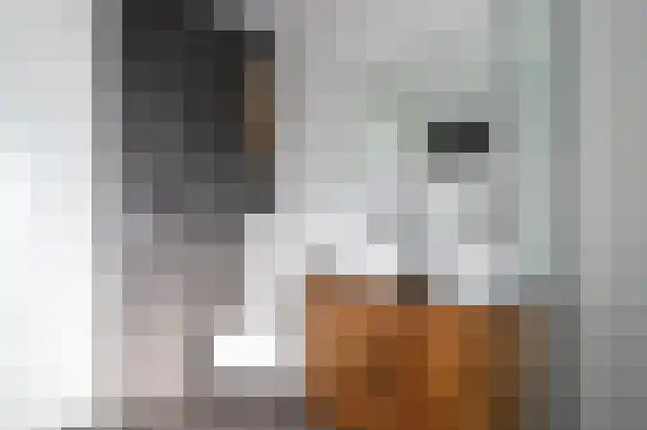 Stolp 17 Voorthuizen thumbnail 27