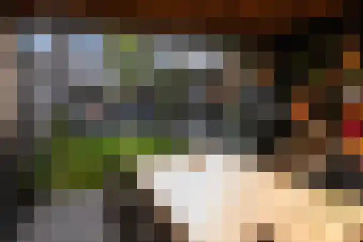 Stolp 17 Voorthuizen thumbnail 40