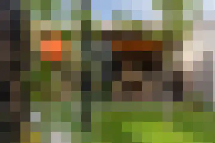 Stolp 17 Voorthuizen thumbnail 44