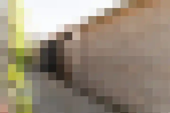 Stolp 17 Voorthuizen thumbnail 45