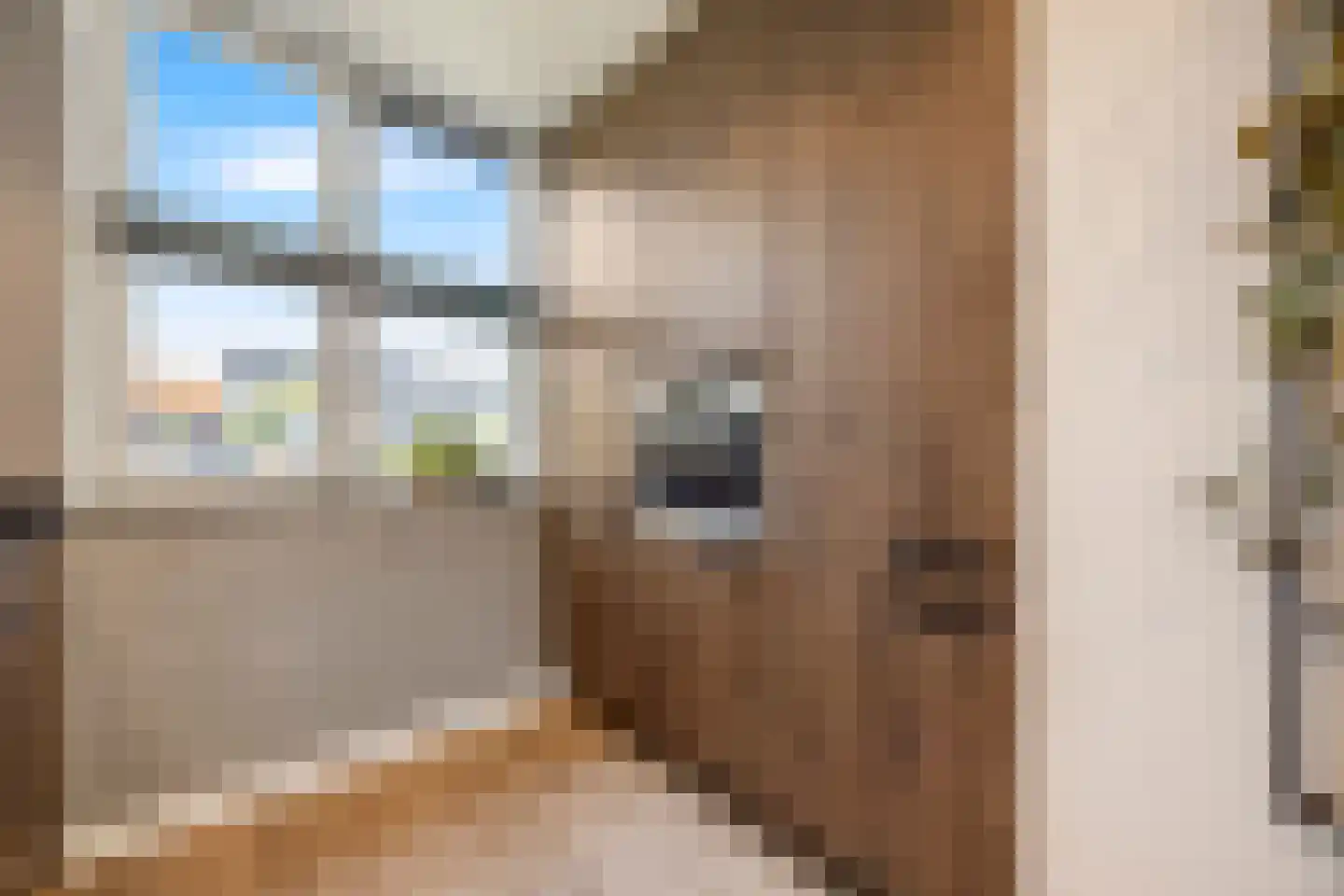 Stolp 18 Voorthuizen thumbnail 12