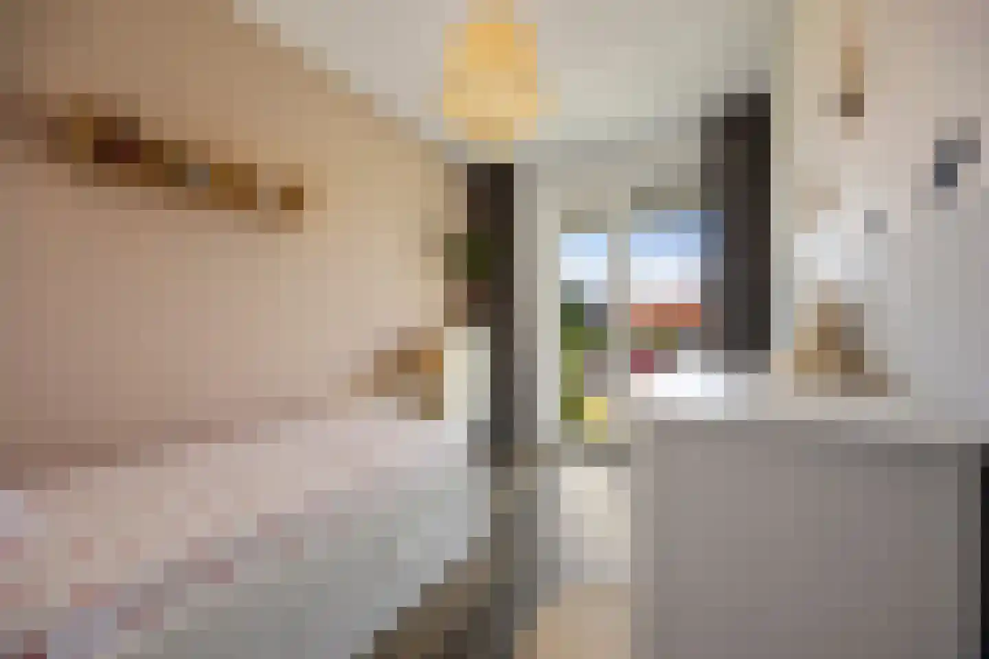 Stolp 18 Voorthuizen thumbnail 18