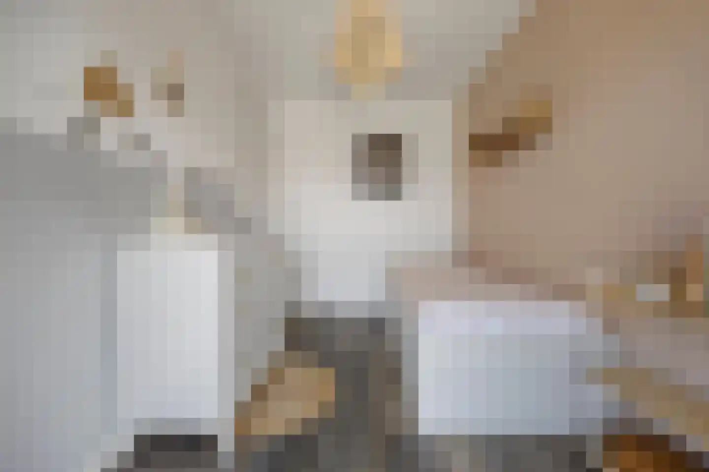 Stolp 18 Voorthuizen thumbnail 19