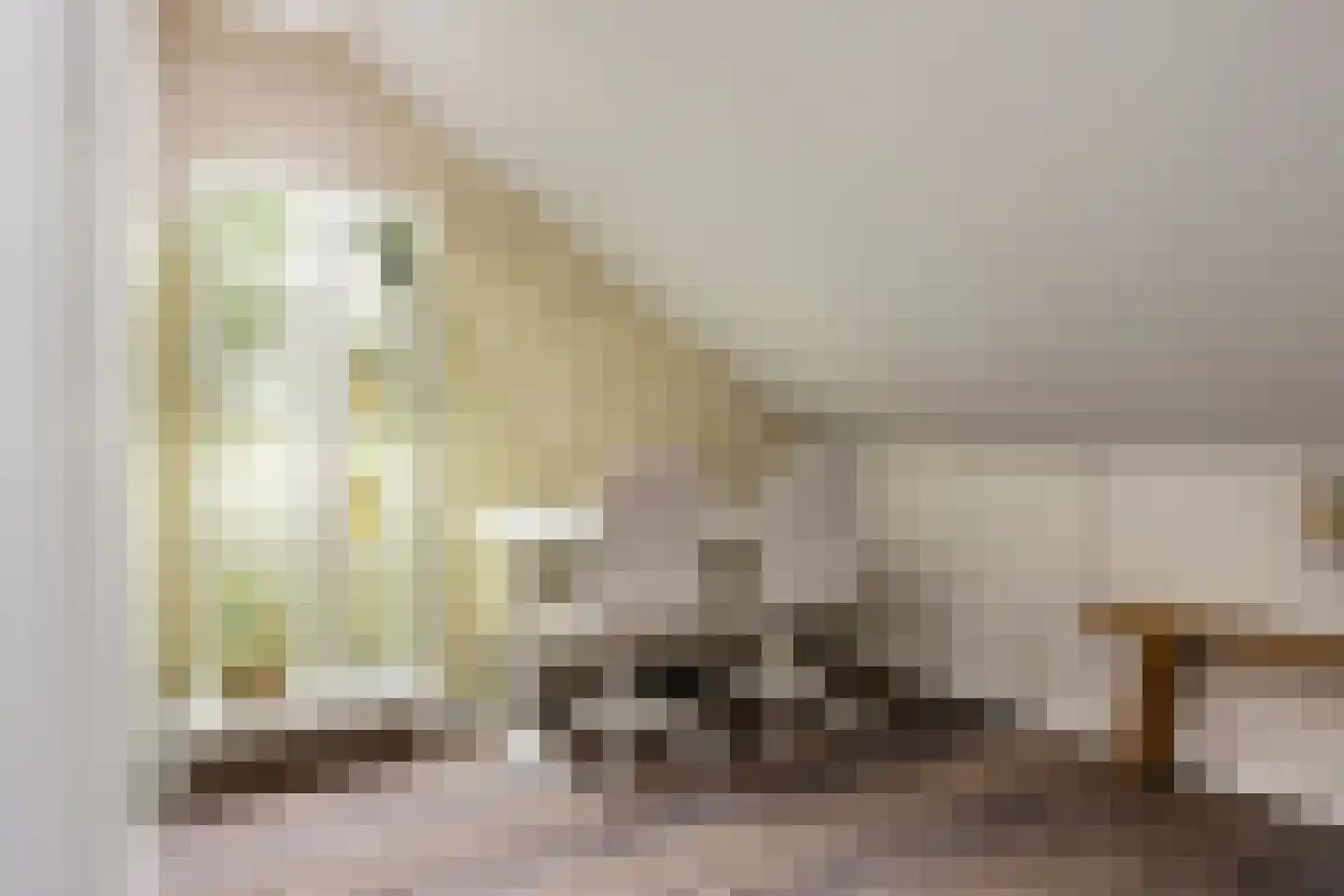 Stolp 18 Voorthuizen thumbnail 25
