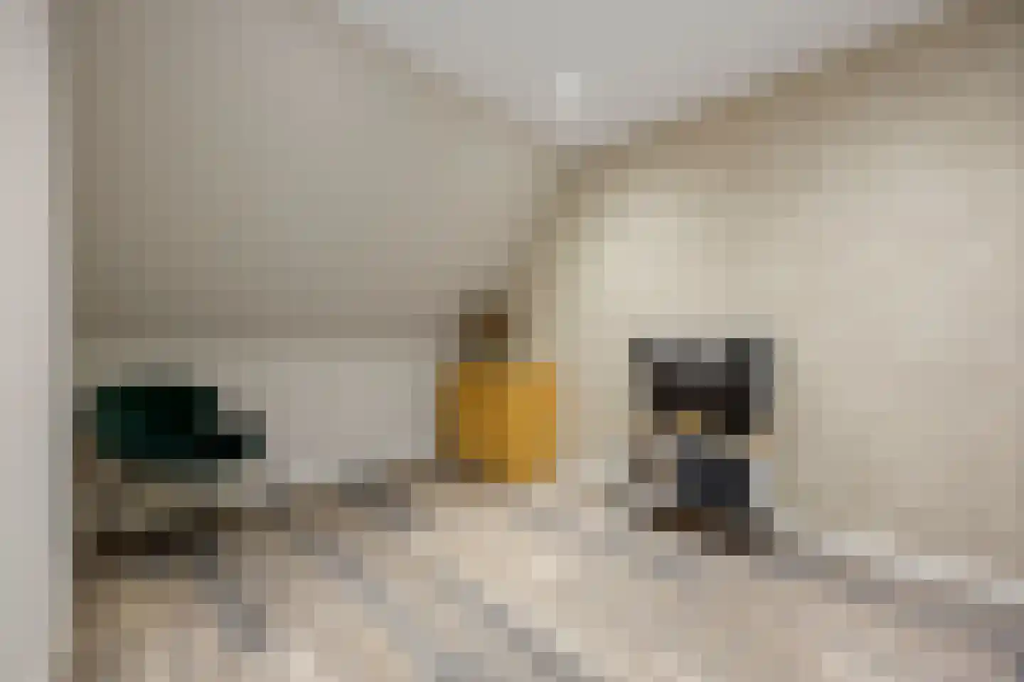 Stolp 18 Voorthuizen thumbnail 26
