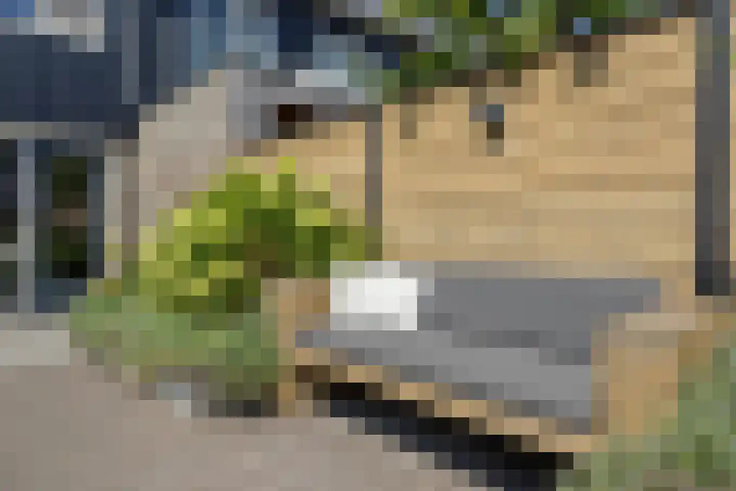 Stolp 18 Voorthuizen thumbnail 28