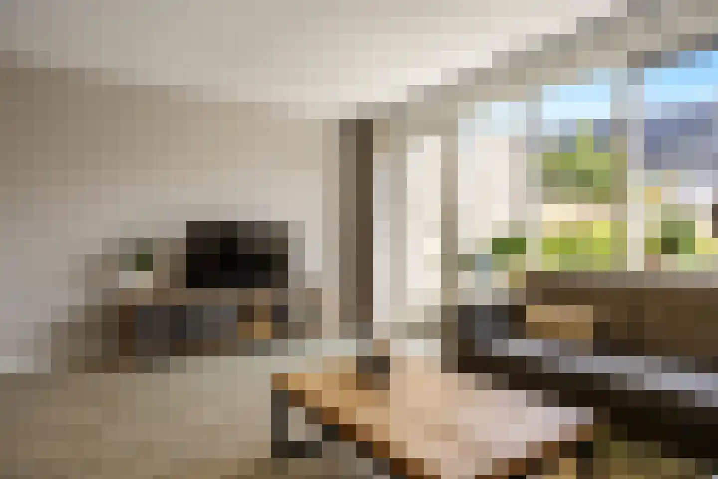 Stolp 18 Voorthuizen thumbnail 8