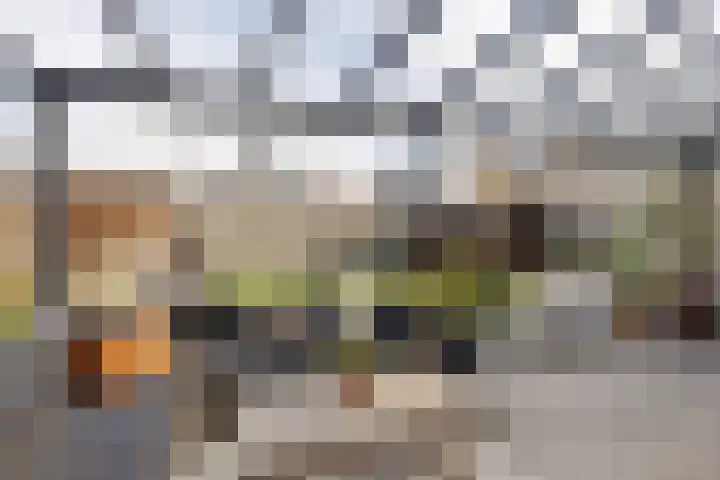 Stolp 21 Delfzijl thumbnail 18