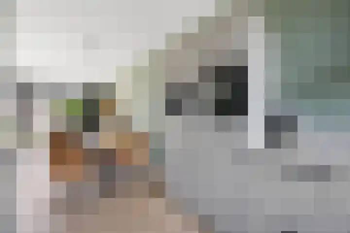Stolp 22 Voorthuizen thumbnail 8