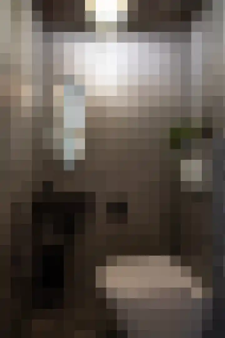 Stolp 28 Voorthuizen thumbnail 15