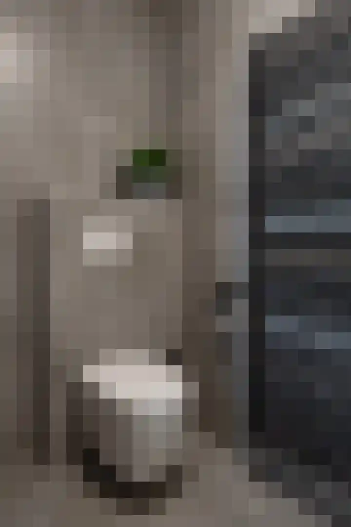 Stolp 28 Voorthuizen thumbnail 25