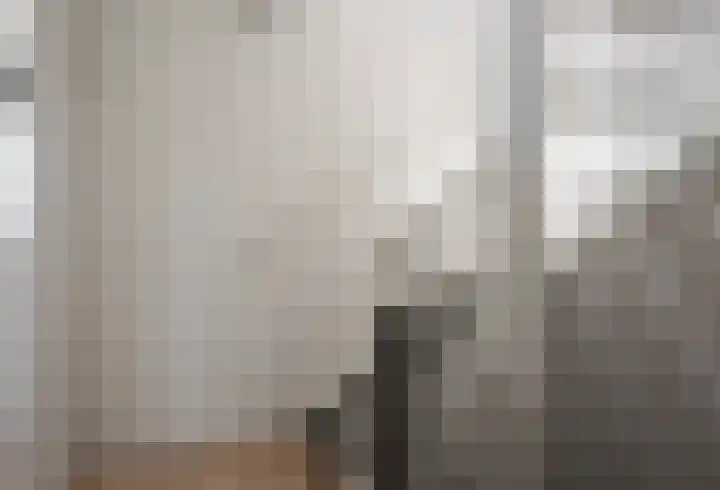 Stolp 28 Voorthuizen thumbnail 29