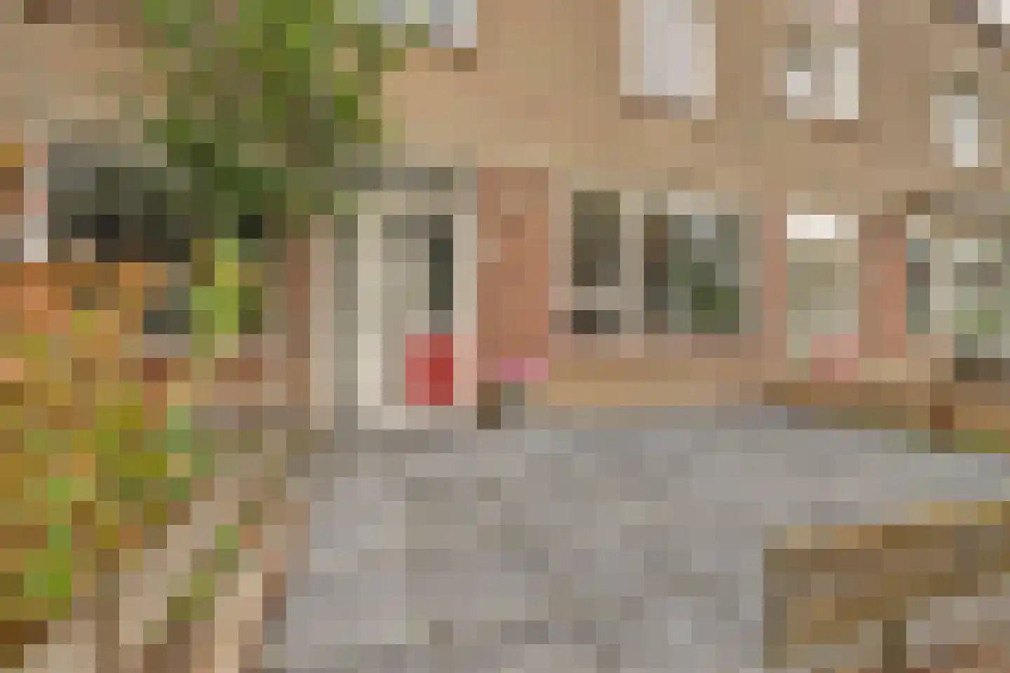 Stolpenburg 4 Gouda thumbnail 7