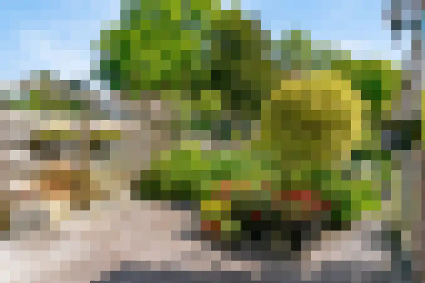 Stolphoeve 27 Zwaag thumbnail 29