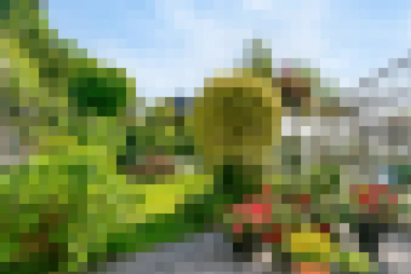 Stolphoeve 27 Zwaag thumbnail 30