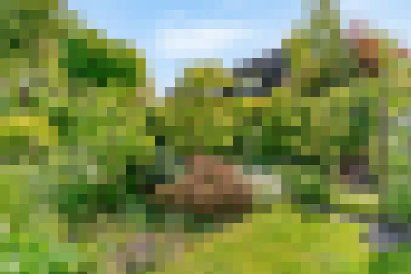 Stolphoeve 27 Zwaag thumbnail 31