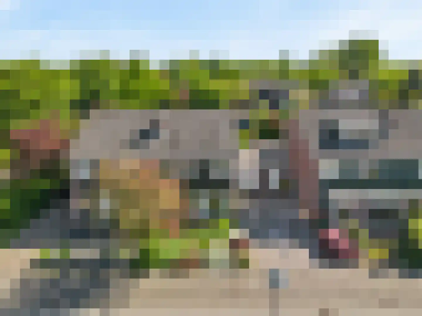 Stolphoeve 27 Zwaag thumbnail 32