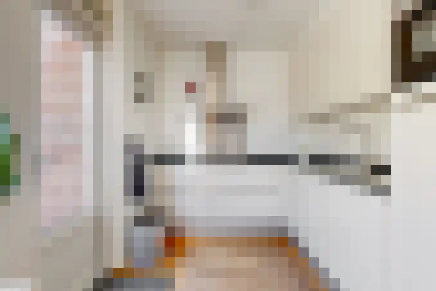 Stolphoeve 27 Zwaag thumbnail 4