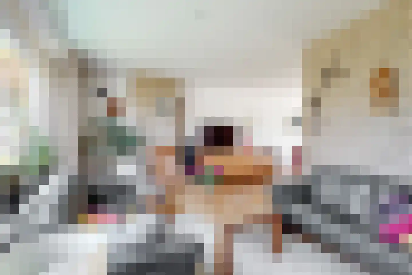 Stolphoeve 27 Zwaag thumbnail 5