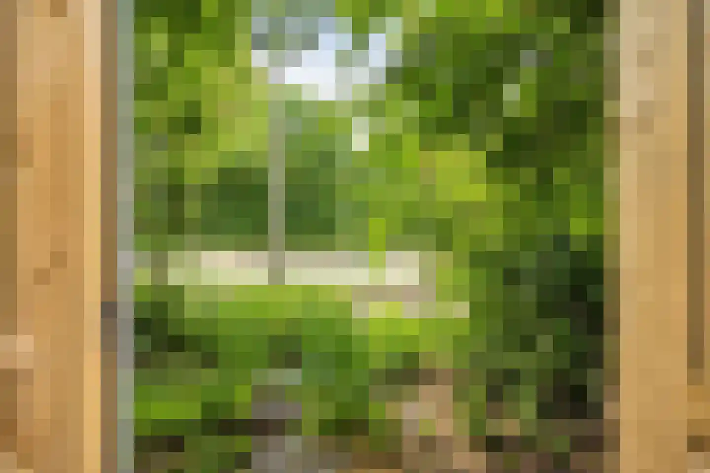 Stolwijkpad 10 Arnhem thumbnail 34