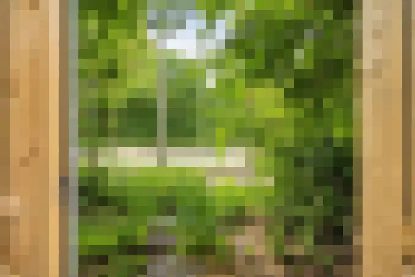 Stolwijkpad 10 Arnhem thumbnail 35