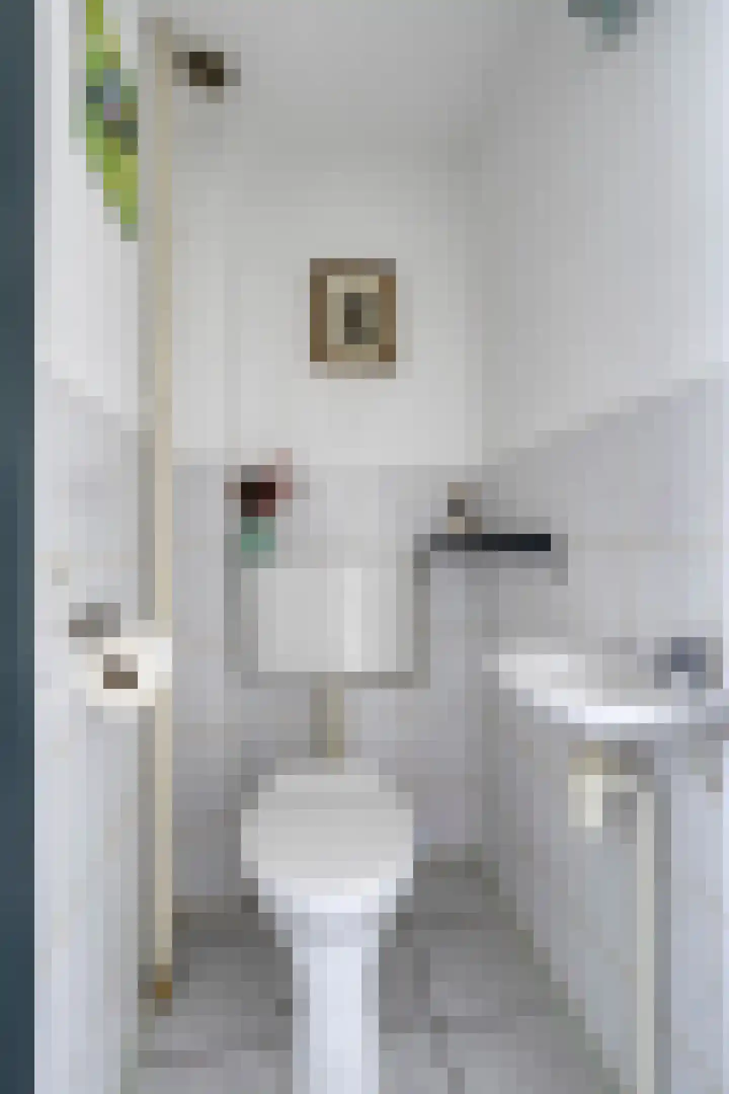Stolwijkpad 10 Arnhem thumbnail 8