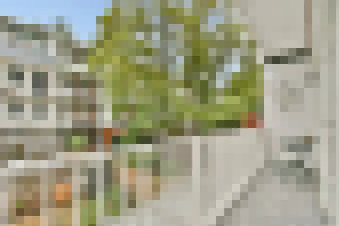 Stolwijkstraat 35 1 Amsterdam thumbnail 21