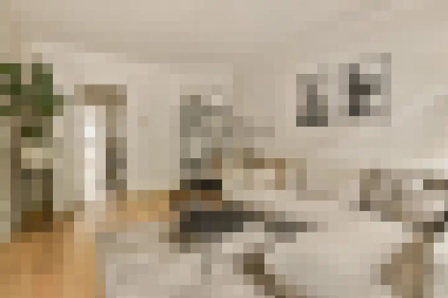 Stolwijkstraat 5 1 Amsterdam thumbnail 7
