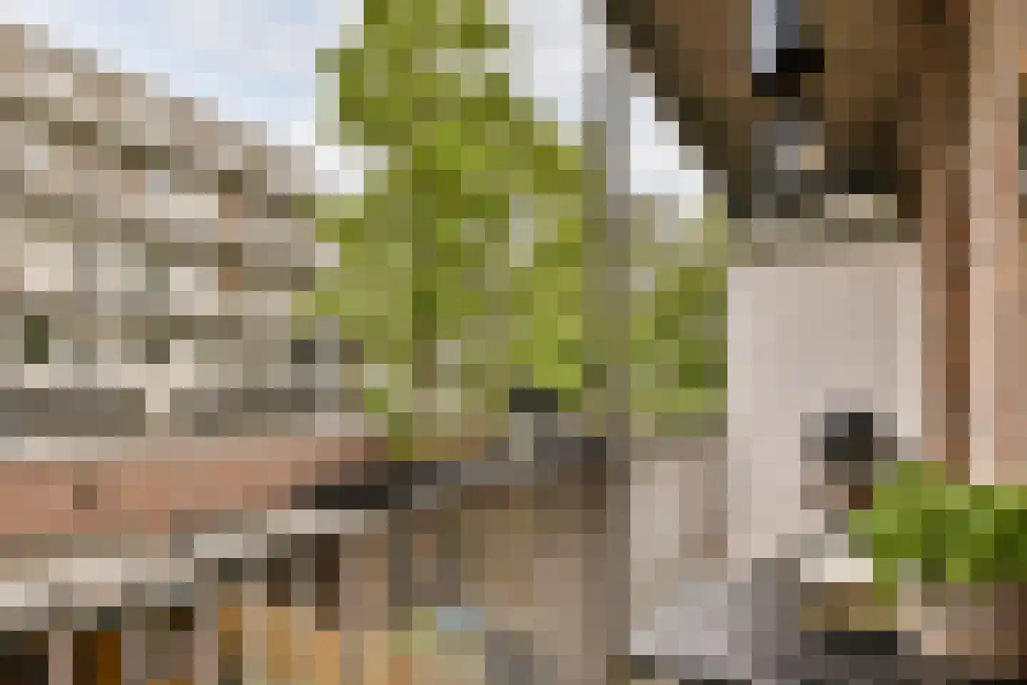 Stolwijkstraat 5 2 Amsterdam thumbnail 12