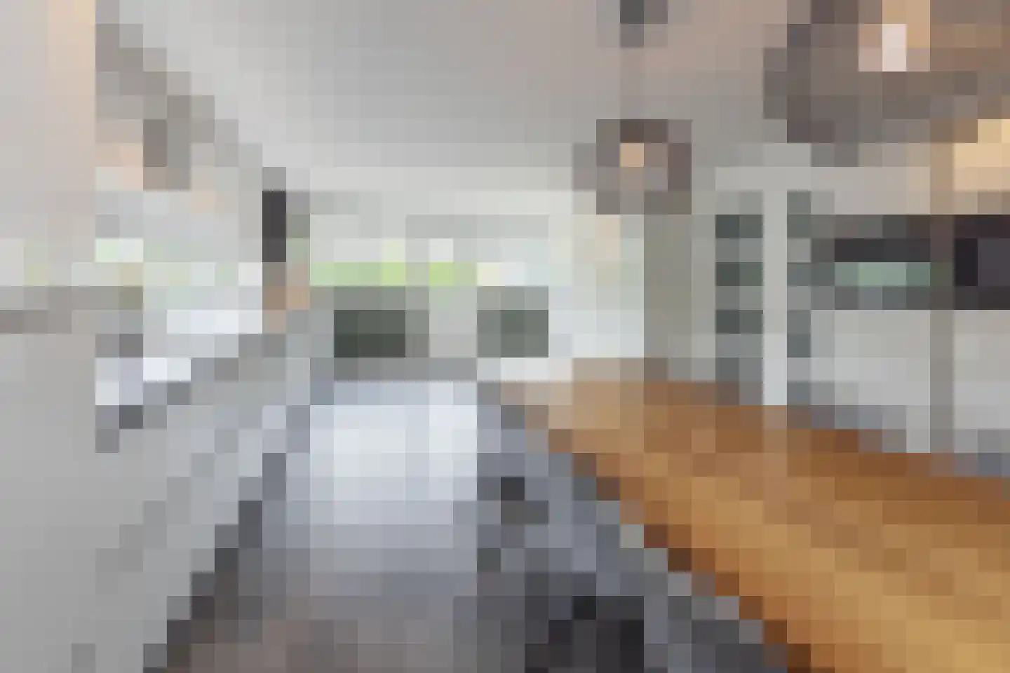 Stommeerkade 78 Aalsmeer thumbnail 18